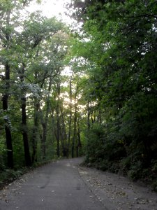 (TTO)_Hrad_Doubravská_hora,_zřícenina_(Teplice)_4_10_2013_9