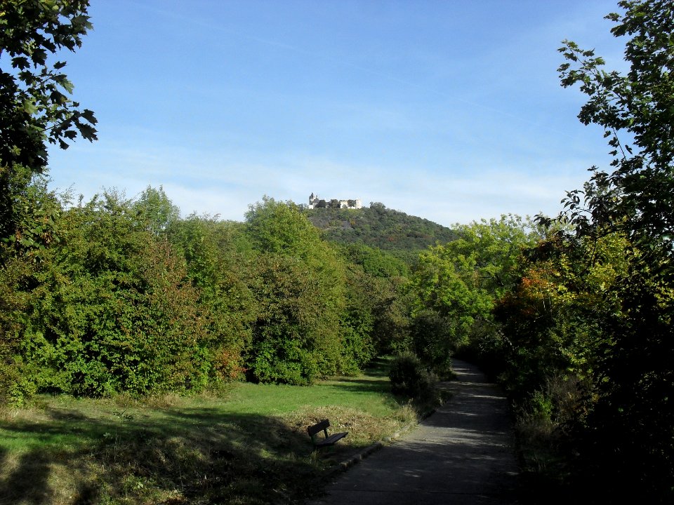 (TTO)_Hrad_Doubravská_hora,_zřícenina_(Teplice)_4_10_2013_22