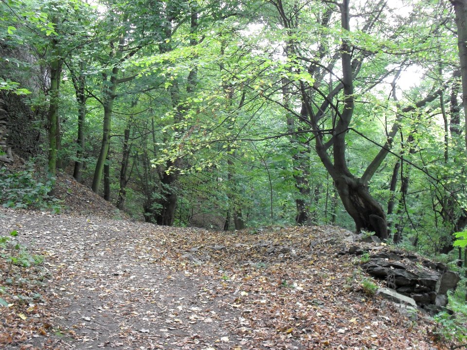 (TTO)_Hrad_Doubravská_hora,_zřícenina_(Teplice)_5_10_2013_15