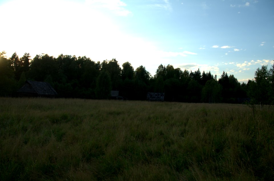 0188_August_2016_in_Tver_Oblast