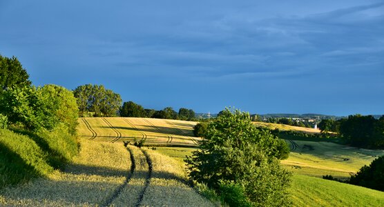 Cereals land abendstimmung