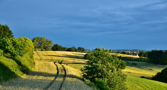 Cereals land abendstimmung photo