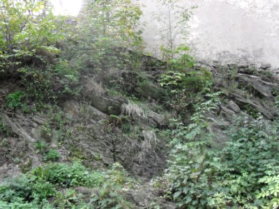 (TTO)_Hrad_Doubravská_hora,_zřícenina_(Teplice)_5_10_2013_69