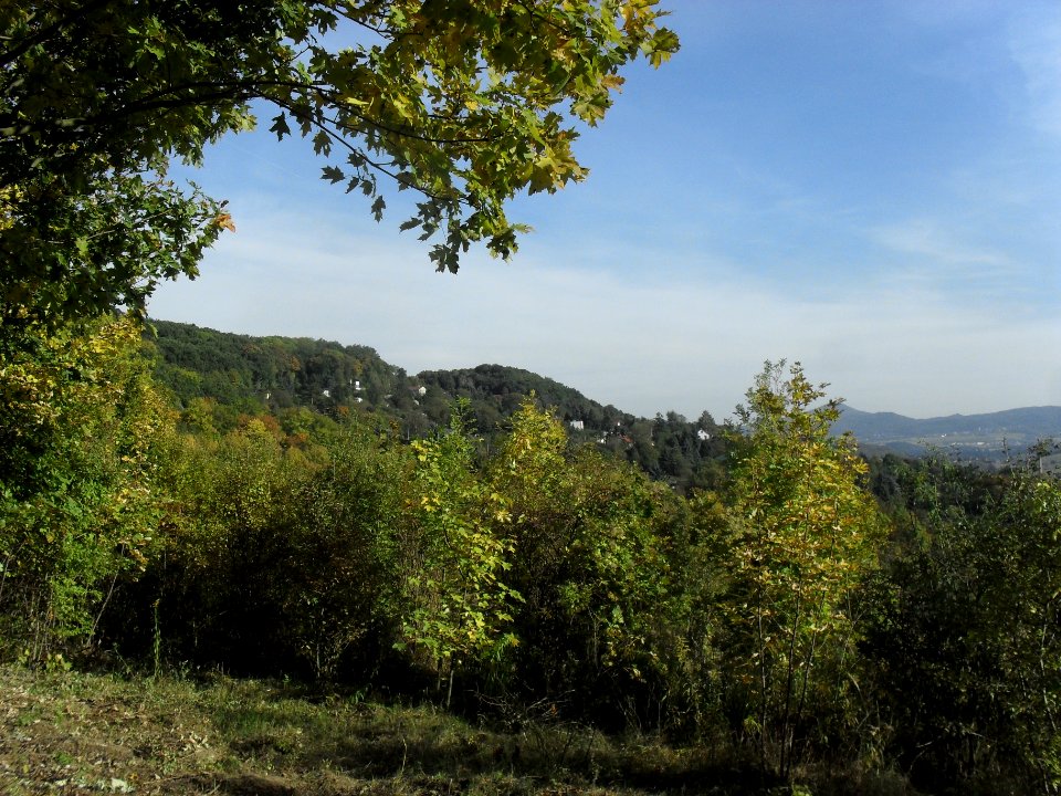 (TTO)_Hrad_Doubravská_hora,_zřícenina_(Teplice)_4_10_2013_20