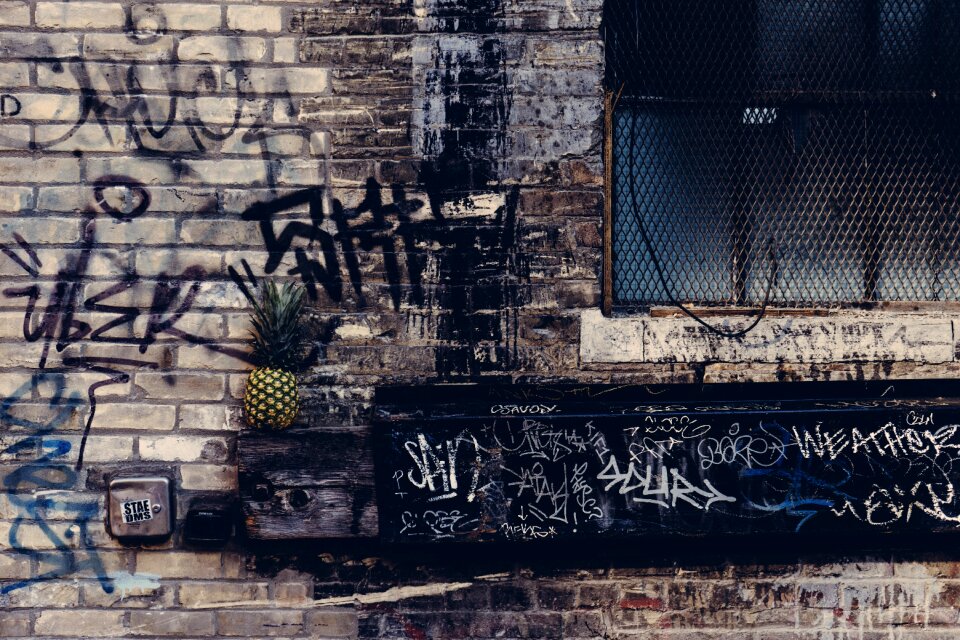 Fruit graffiti pineapple
