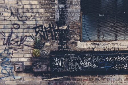 Fruit graffiti pineapple