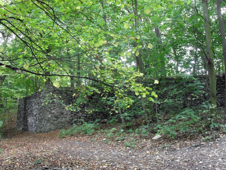 (TTO)_Hrad_Doubravská_hora,_zřícenina_(Teplice)_5_10_2013_19