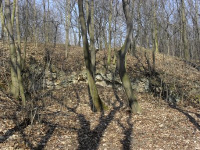 (TTO)_Hrad_Doubravská_hora,_zřícenina_(Teplice)_14_3_2014_3