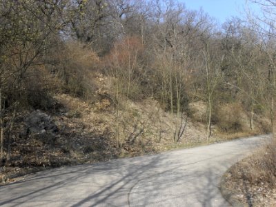 (TTO)_Hrad_Doubravská_hora,_zřícenina_(Teplice)_14_3_2014_33