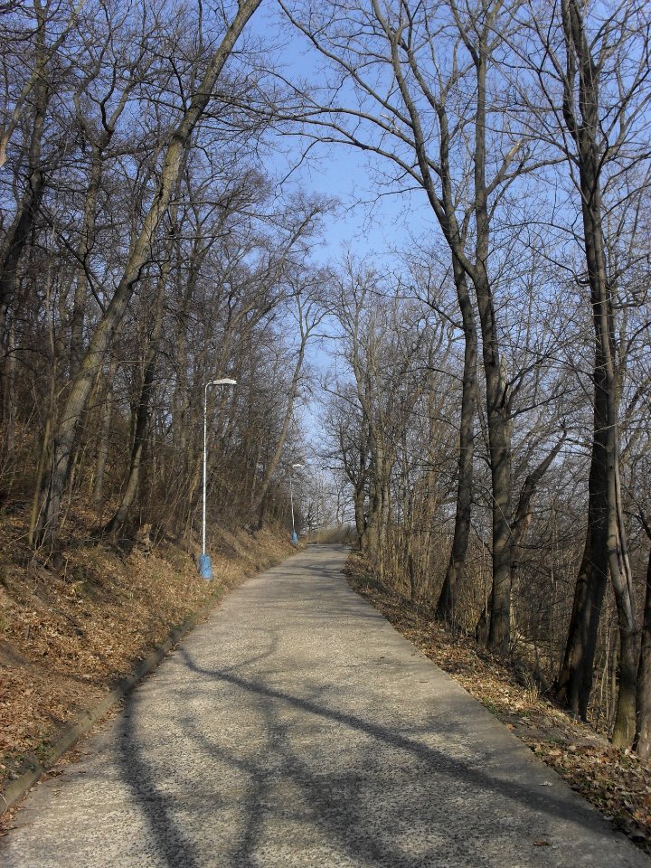 (TTO)_Hrad_Doubravská_hora,_zřícenina_(Teplice)_14_3_2014_37