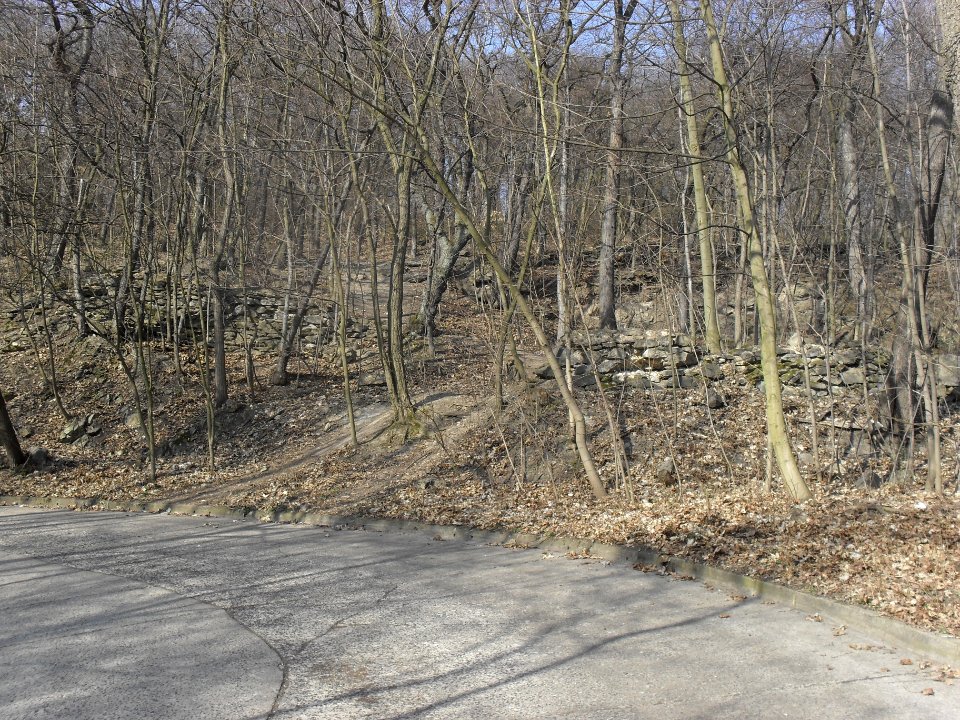 (TTO)_Hrad_Doubravská_hora,_zřícenina_(Teplice)_14_3_2014_31