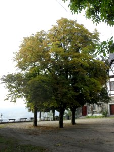 (TTO)_Hrad_Doubravská_hora,_zřícenina_(Teplice)_4_10_2013_115
