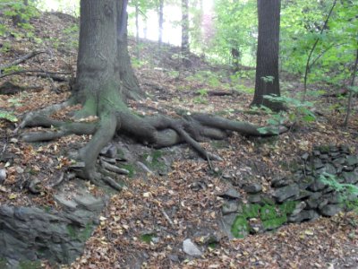 (TTO)_Hrad_Doubravská_hora,_zřícenina_(Teplice)_5_10_2013_13