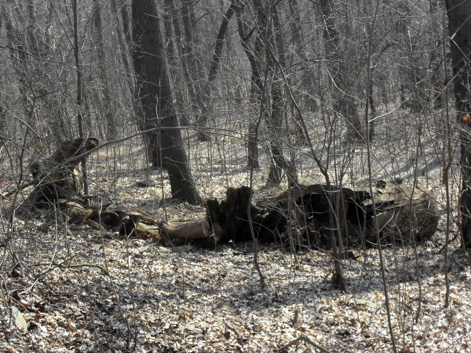 (TTO)_Hrad_Doubravská_hora,_zřícenina_(Teplice)_14_3_2014_24