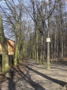 (TTO)_Hrad_Doubravská_hora,_zřícenina_(Teplice)_14_3_2014_13