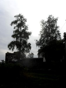 (TTO)_Hrad_Doubravská_hora,_zřícenina_(Teplice)_5_10_2013_77