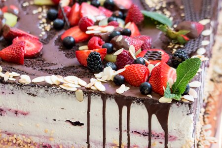 A cake fruity cake as a gardener