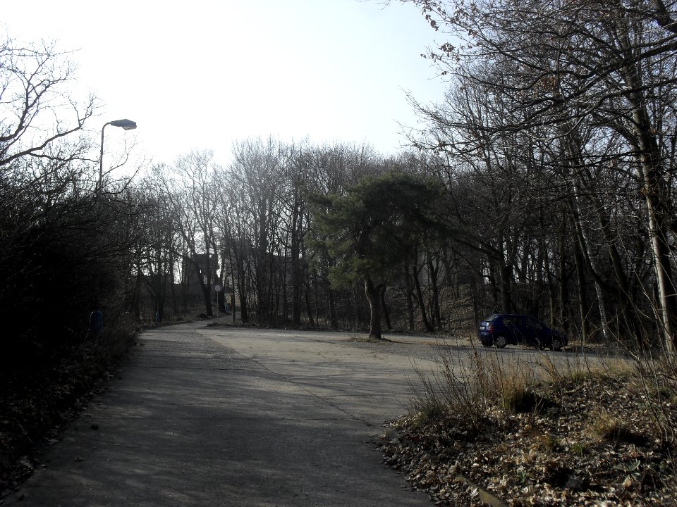 (TTO)_Hrad_Doubravská_hora,_zřícenina_(Teplice)_14_3_2014_43