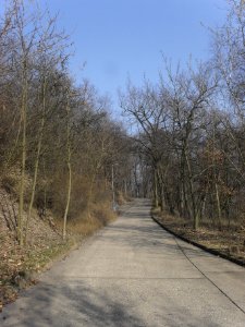 (TTO)_Hrad_Doubravská_hora,_zřícenina_(Teplice)_14_3_2014_34
