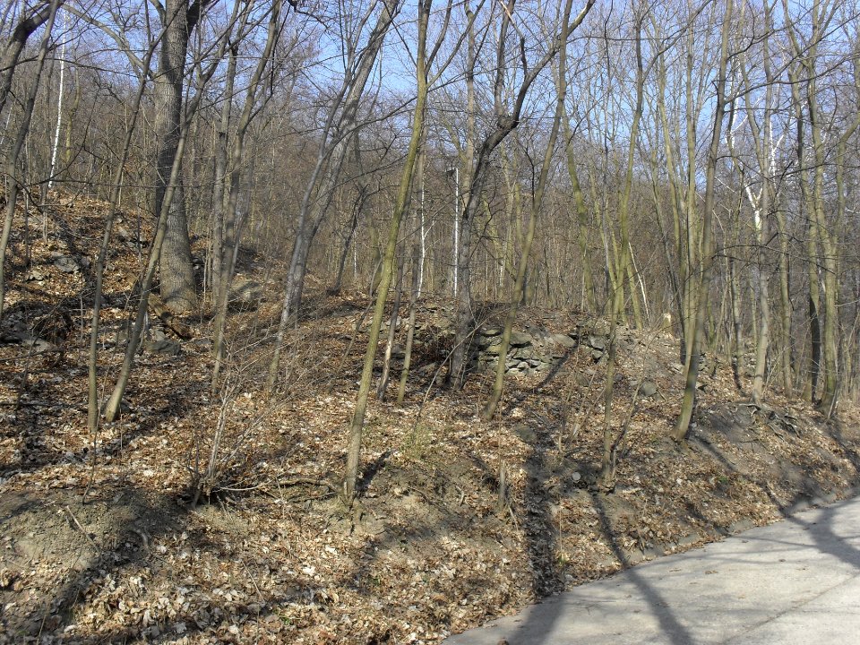 (TTO)_Hrad_Doubravská_hora,_zřícenina_(Teplice)_14_3_2014_29