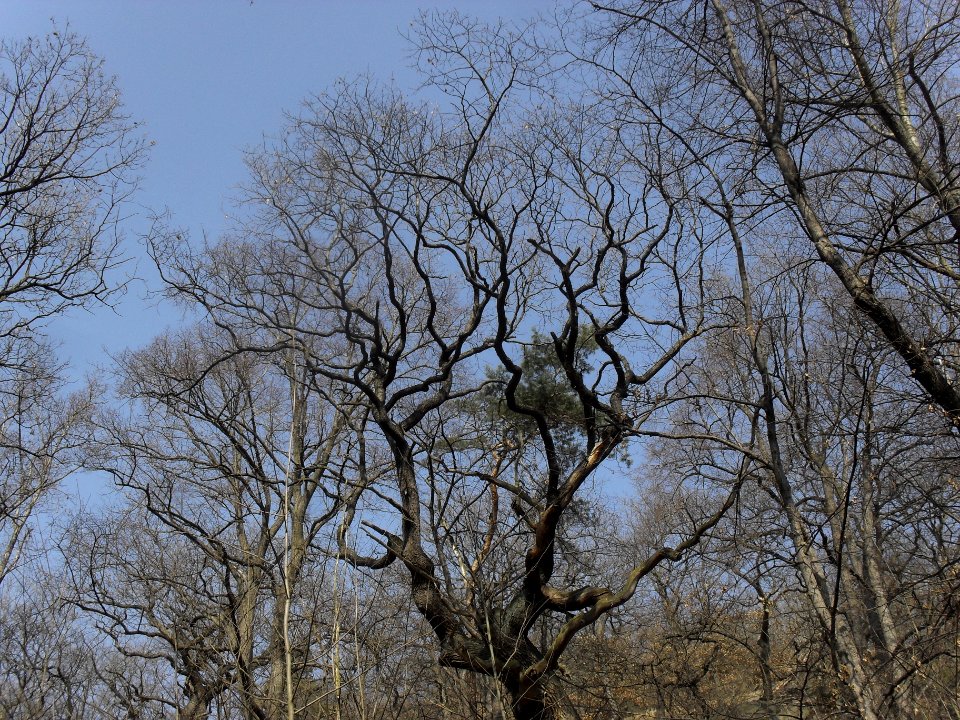 (TTO)_Hrad_Doubravská_hora,_zřícenina_(Teplice)_14_3_2014_26