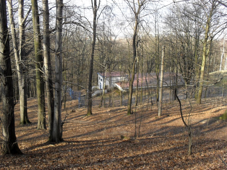 (TTO)_Hrad_Doubravská_hora,_zřícenina_(Teplice)_14_3_2014_121