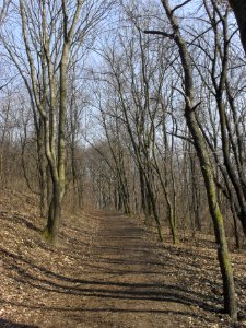(TTO)_Hrad_Doubravská_hora,_zřícenina_(Teplice)_14_3_2014_2