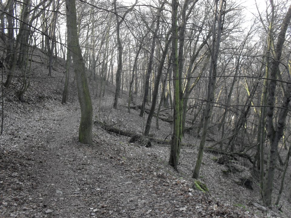 (TTO)_Hrad_Doubravská_hora,_zřícenina_(Teplice)_14_3_2014_120
