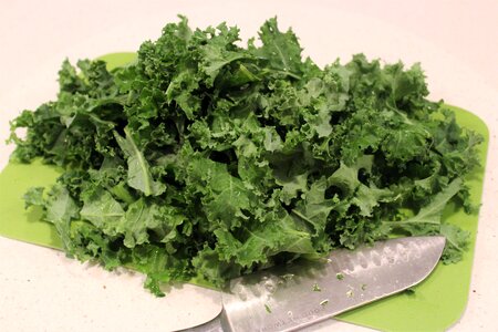 Healthy kale green healthy photo