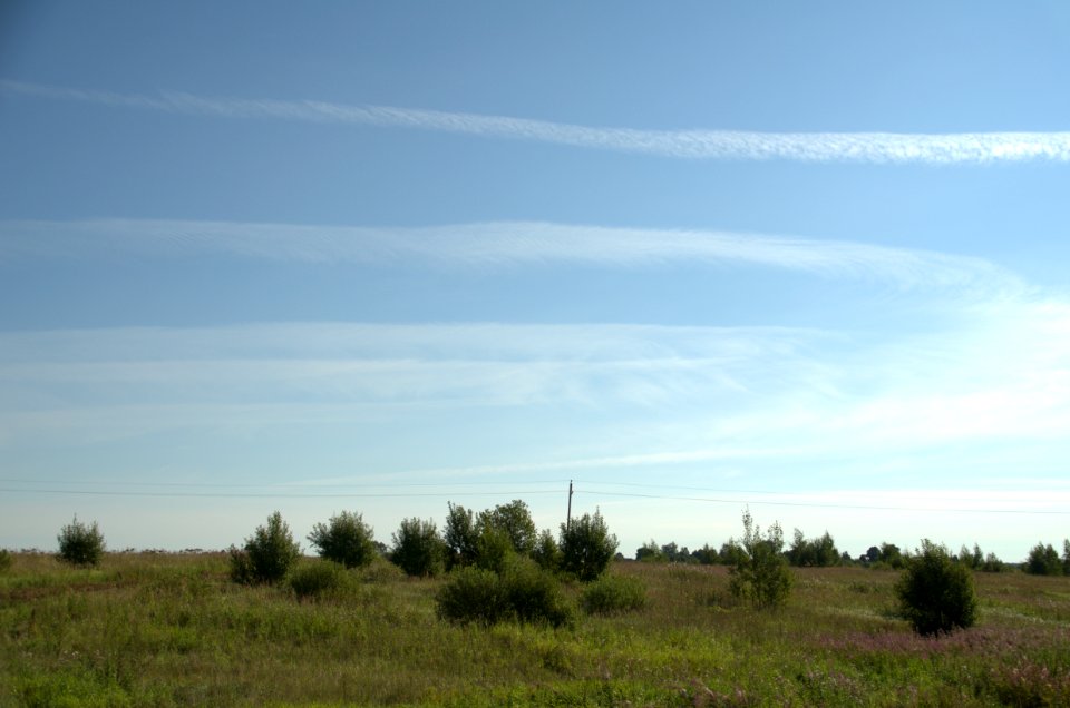 0047_August_2016_in_Tver_Oblast