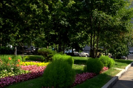 0035_31st_of_July_2016_in_Moscow
