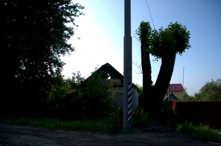 0035_29th_of_July_2016_in_Russia
