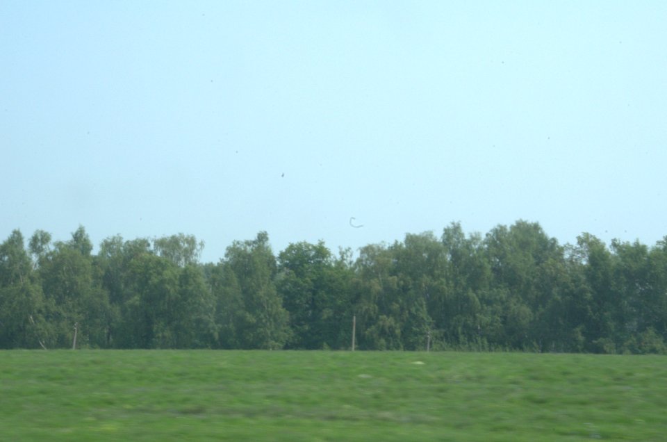 0083_25th_of_July_2016_in_Moscow_Oblast