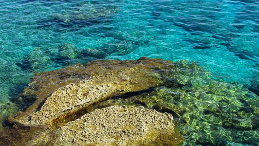 Rocky coast coastline clear