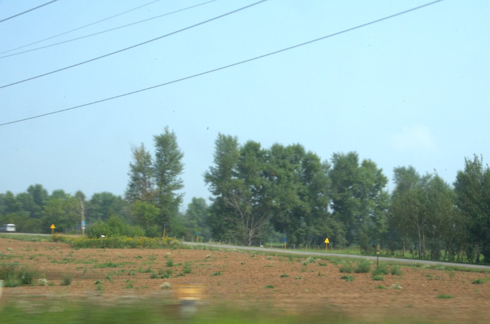 0086_25th_of_July_2016_in_Moscow_Oblast