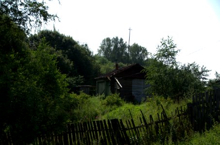 0057_29th_of_July_2016_in_Vladimir_Oblast,_Russia