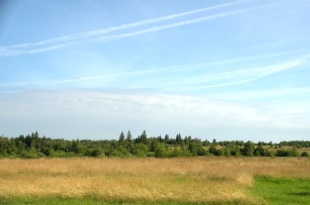 0061_August_2016_in_Tver_Oblast