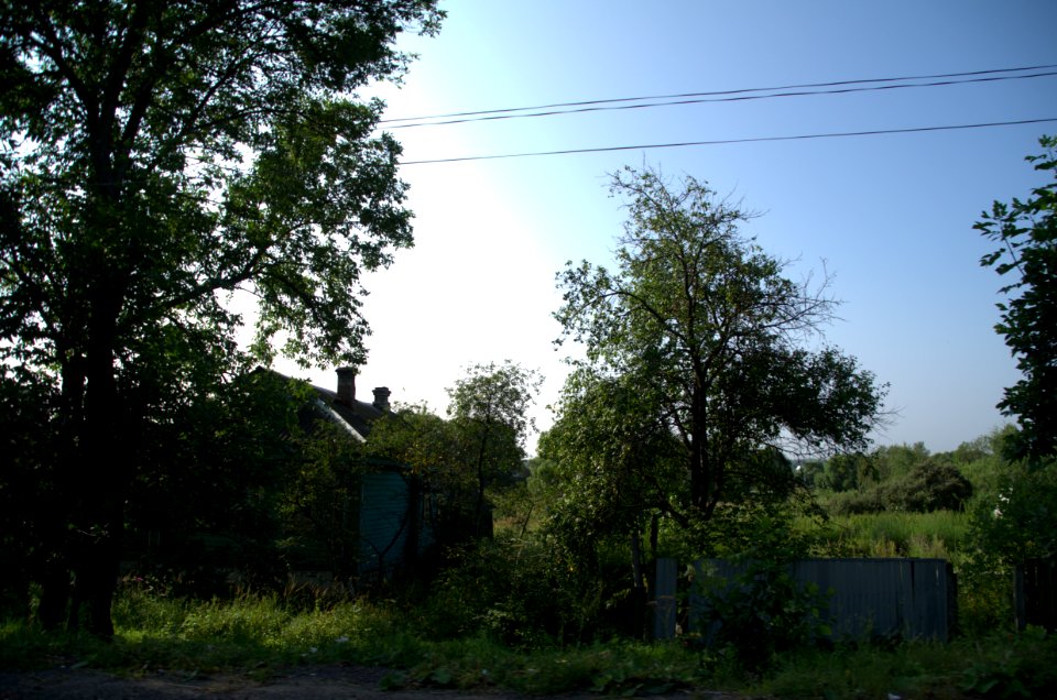 0032_29th_of_July_2016_in_Russia