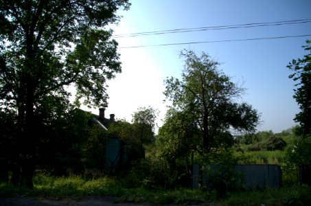 0032_29th_of_July_2016_in_Russia