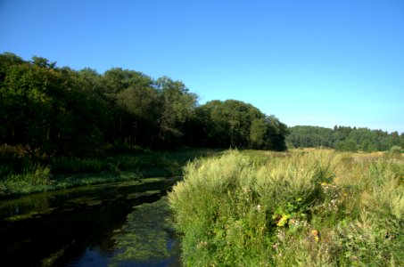 0035_1st_of_August_2016_in_Moscow_Oblast,_Russia