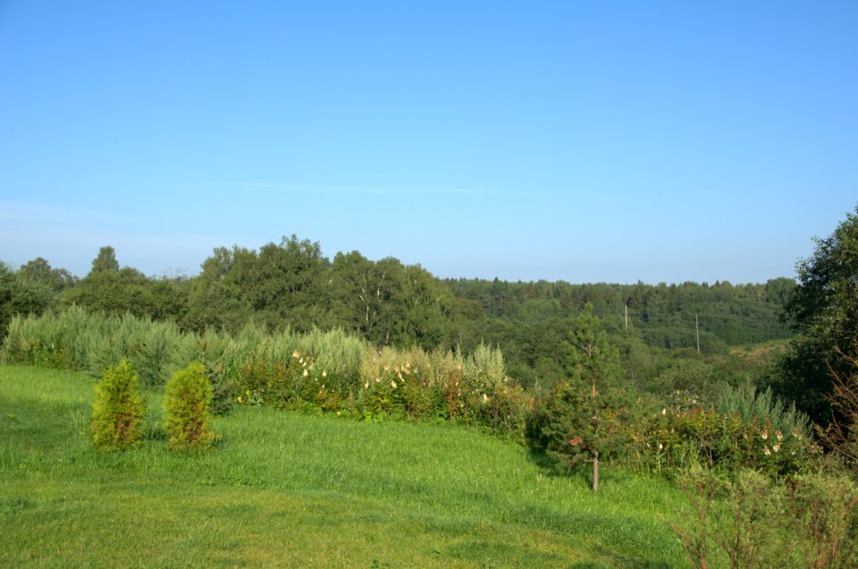 0027_1st_of_August_2016_in_Moscow_Oblast,_Russia