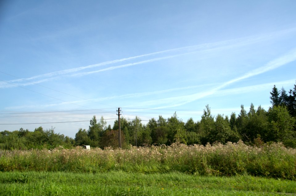 0060_August_2016_in_Tver_Oblast