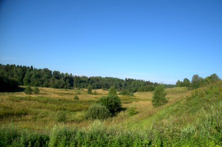 0032_1st_of_August_2016_in_Moscow_Oblast,_Russia