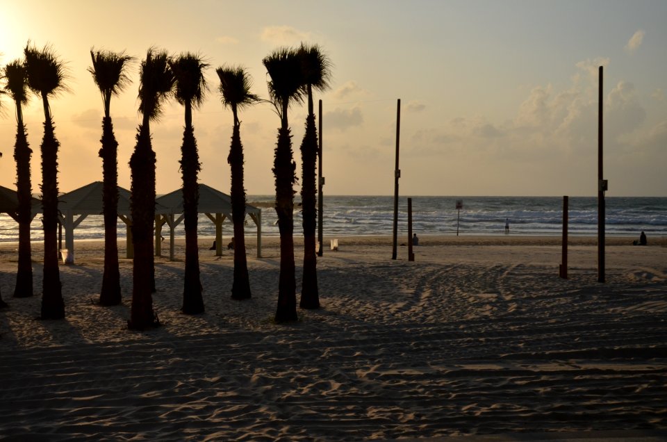 0008_2016_in_Tel_Aviv-Yafo