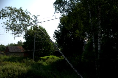 0056_29th_of_July_2016_in_Vladimir_Oblast,_Russia
