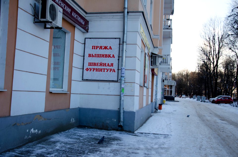 0060_17th_of_December_2015_in_Tver,_Russia