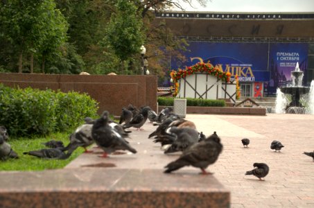 0053_August_2016_in_Moscow