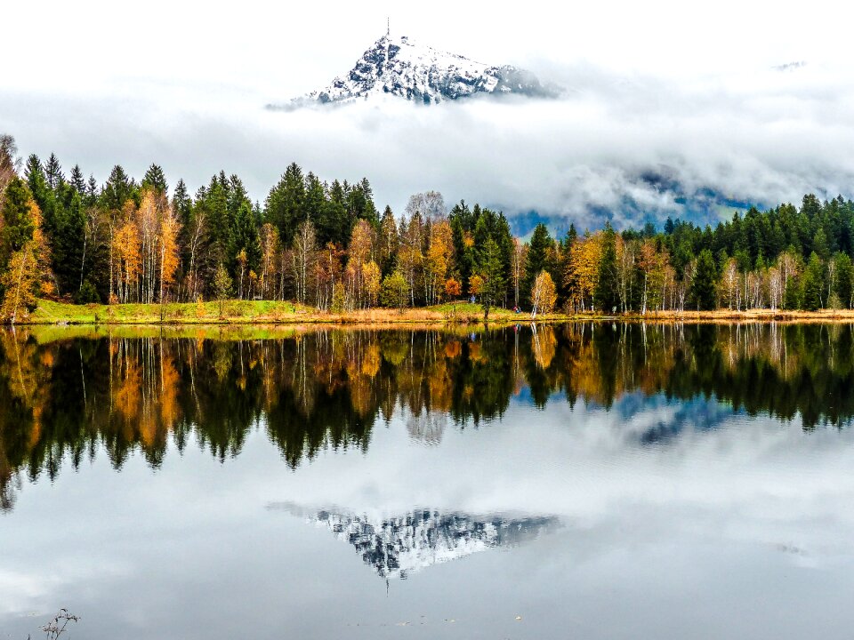 Cold nature landscape