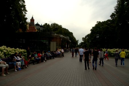 0020_August_2016_in_Moscow
