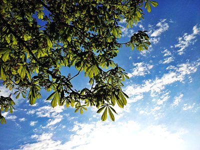 0028_Himmel_CC0_1.0